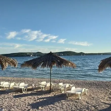Zulim Trogir