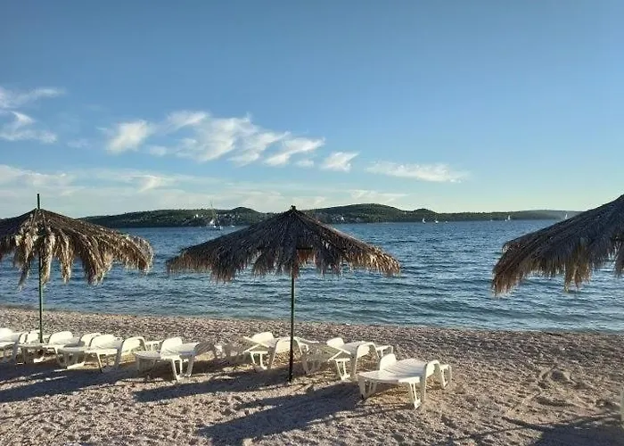 Zulim Trogir