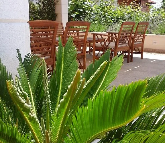 Zulim Trogir