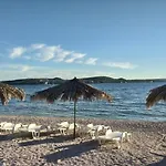 Zulim Trogir